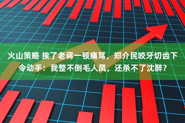火山策略 挨了老蒋一顿痛骂，郑介民咬牙切齿下令动手：我整不倒毛人凤，还杀不了沈醉？