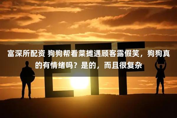 富深所配资 狗狗帮看菜摊遇顾客露假笑，狗狗真的有情绪吗？是的，而且很复杂