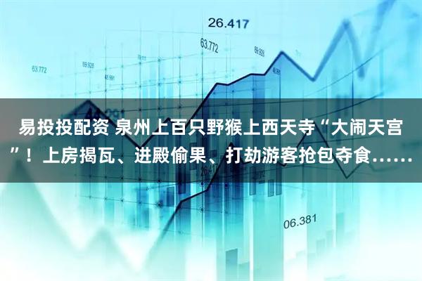 易投投配资 泉州上百只野猴上西天寺“大闹天宫”！上房揭瓦、进殿偷果、打劫游客抢包夺食……