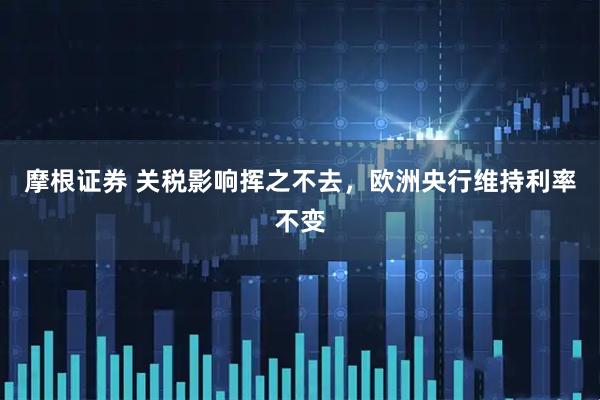 摩根证券 关税影响挥之不去，欧洲央行维持利率不变